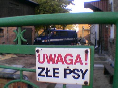 Złe psy........brechta jak niewiem [.jpg]