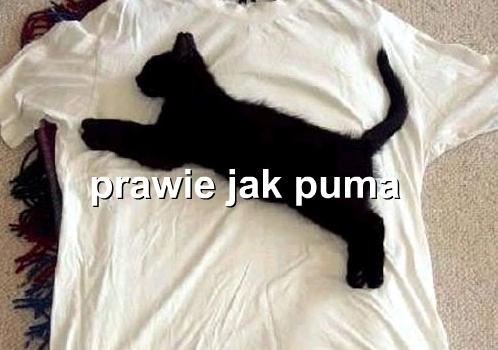 prawie jak.....xxx [.jpg]